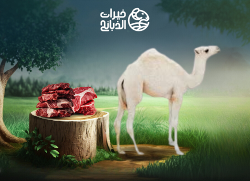 حاشي البلدي