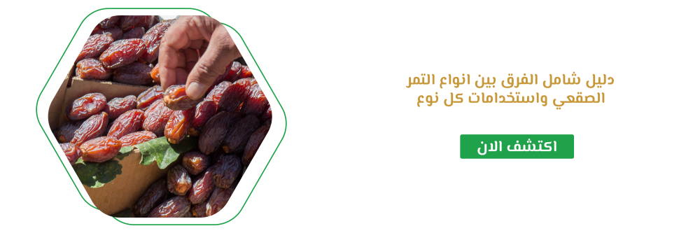 دليل شامل الفرق بين انواع التمر الصقعي واستخدامات كل نوع