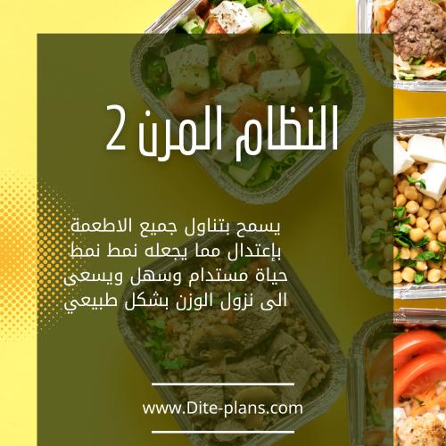 النظام المرن 2