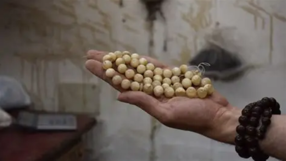 اشهر خراطين السبح - حجر السلطان ولك من الاسم نصيب