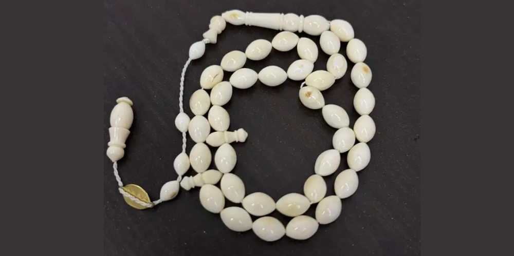 natural seal ivory