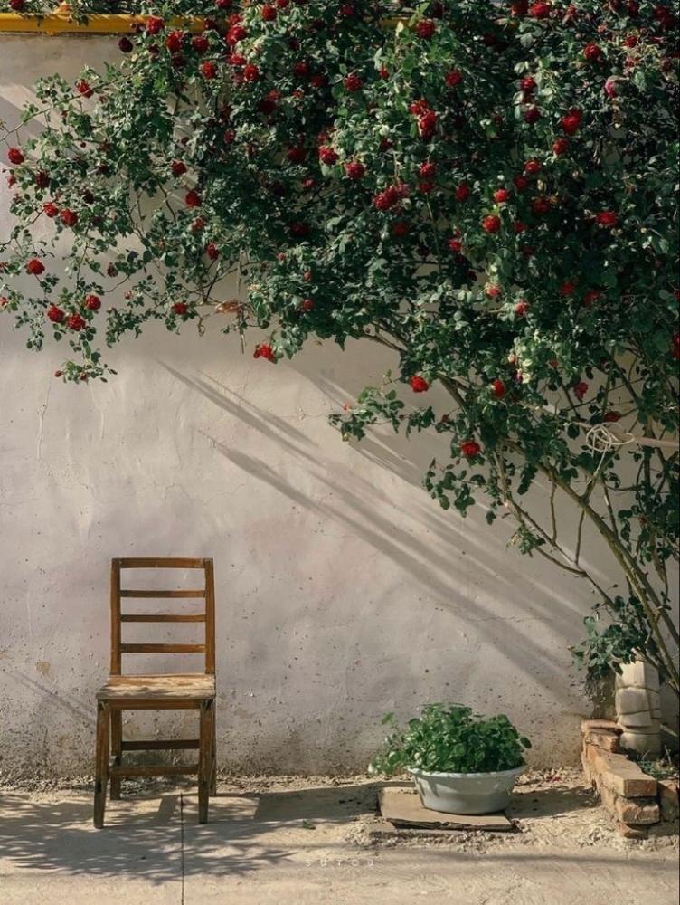 عيش-الحياة-بسعادة-اعماق-النفس