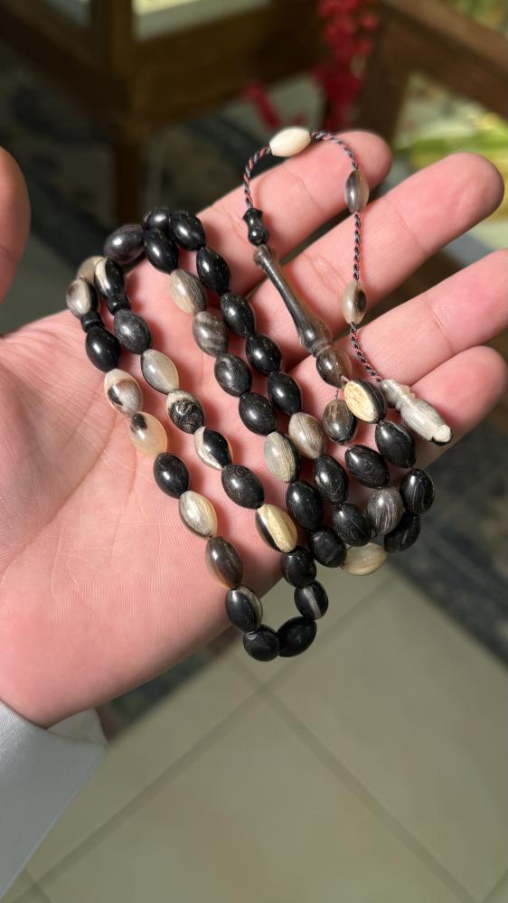 قرن ماعز طبيعي