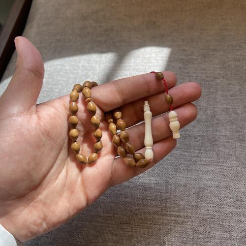 مسباح كوك/عظم ابل