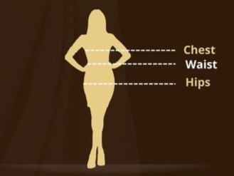 Chest - Waist - Hips