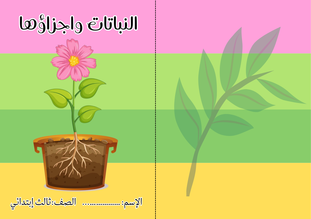 مطوية علوم ثالث ابتدائي الترم الاولpdf