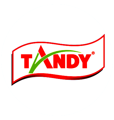 تاندي