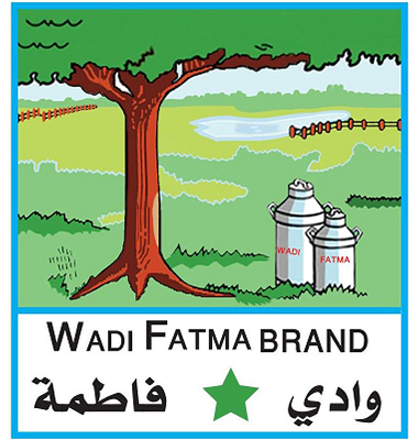 وادي فاطمة