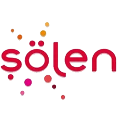 سولين