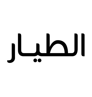 الطيار