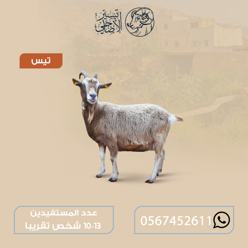 تيس