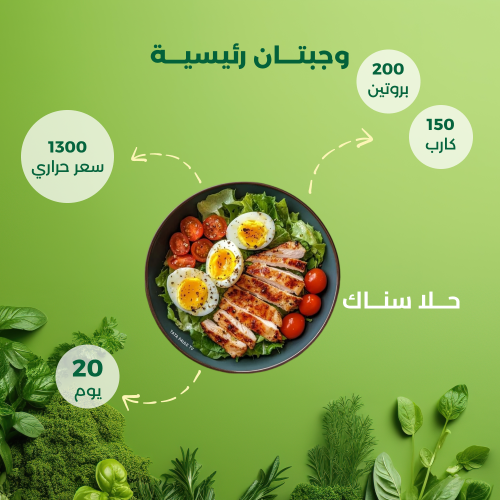 باقة هاي بروتين (20 يوم – 2 وجبة)