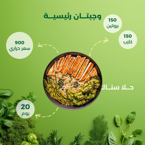 باقة لايف ستايل (20 يوم – 2 وجبة)