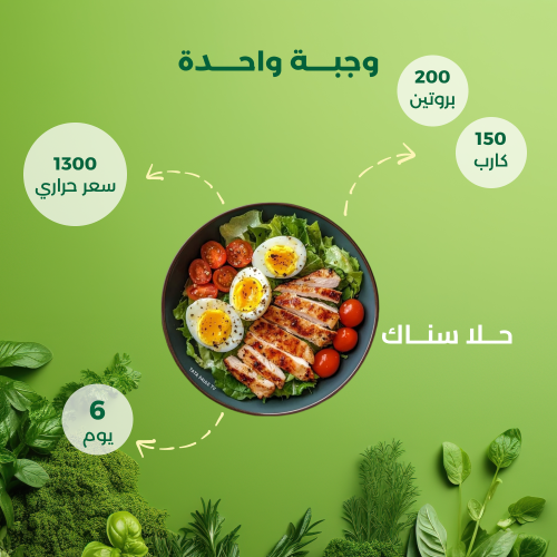 باقة هاي بروتين (6 يوم – 1 وجبة)