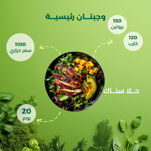 باقة صحي (20 يوم – 2 وجبة)
