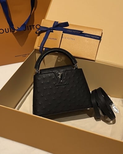 LV mini capucines