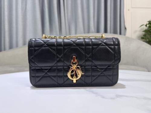 Dior 20cm