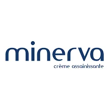 minerva - منيرفا