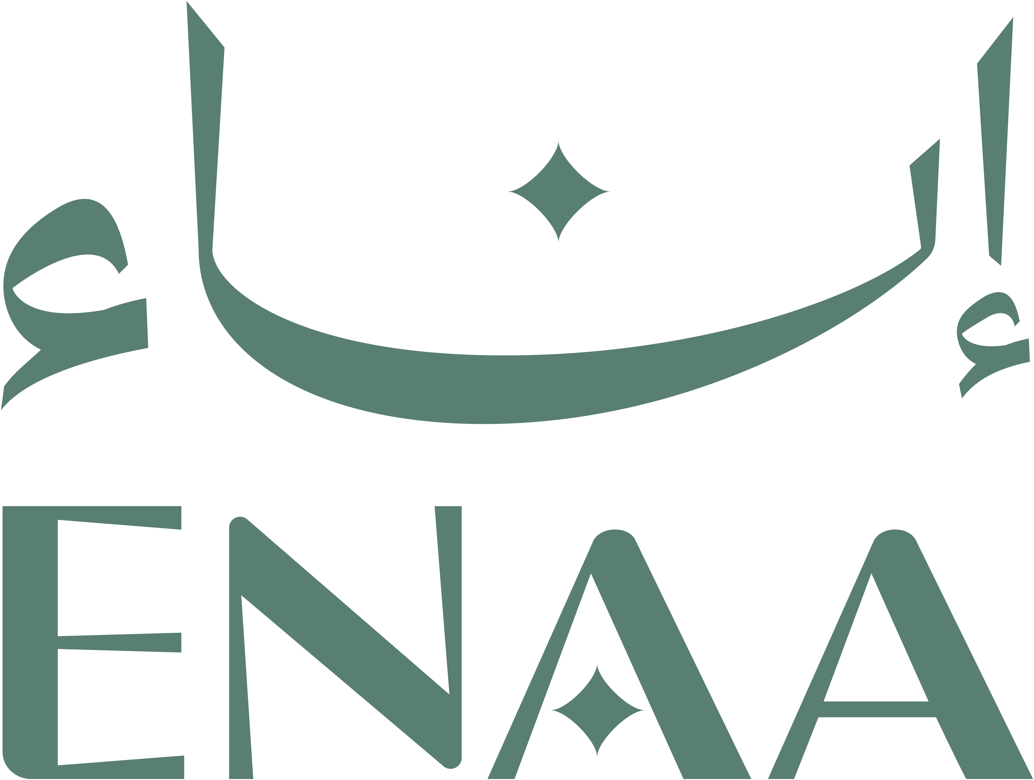 store avatar