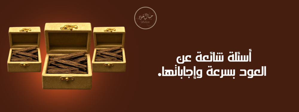 أسئلة شائعة عن العود بسرعة وإجاباتها