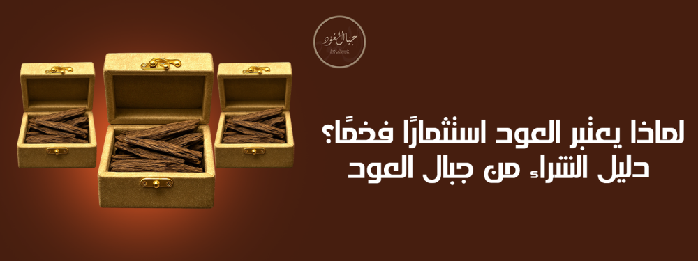 لماذا يعتبر العود استثمارًا فخمًا؟ دليل الشراء من جبال العود