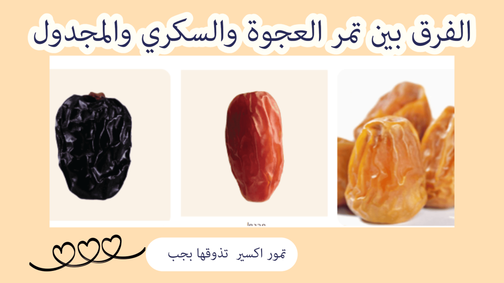 الفرق بين تمر العجوة والسكري والمجدول