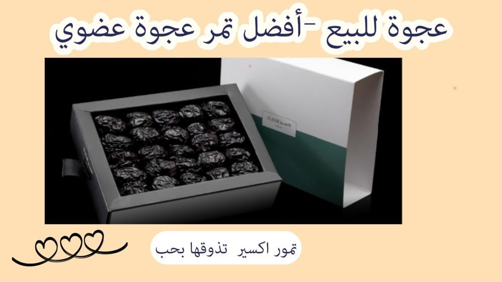 عجوة للبيع -أفضل تمر عجوة عضوي