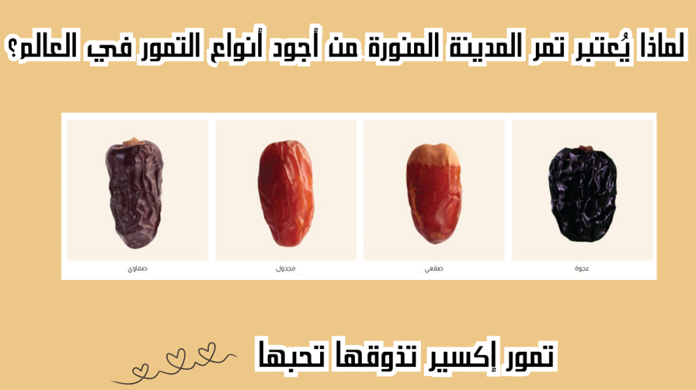 تمر المدينة المنورة
