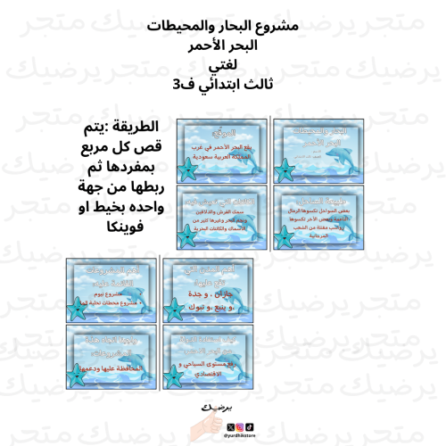 مشروع البحار والمحيطات البحر الأحمر لغتي ثالث ابتد...