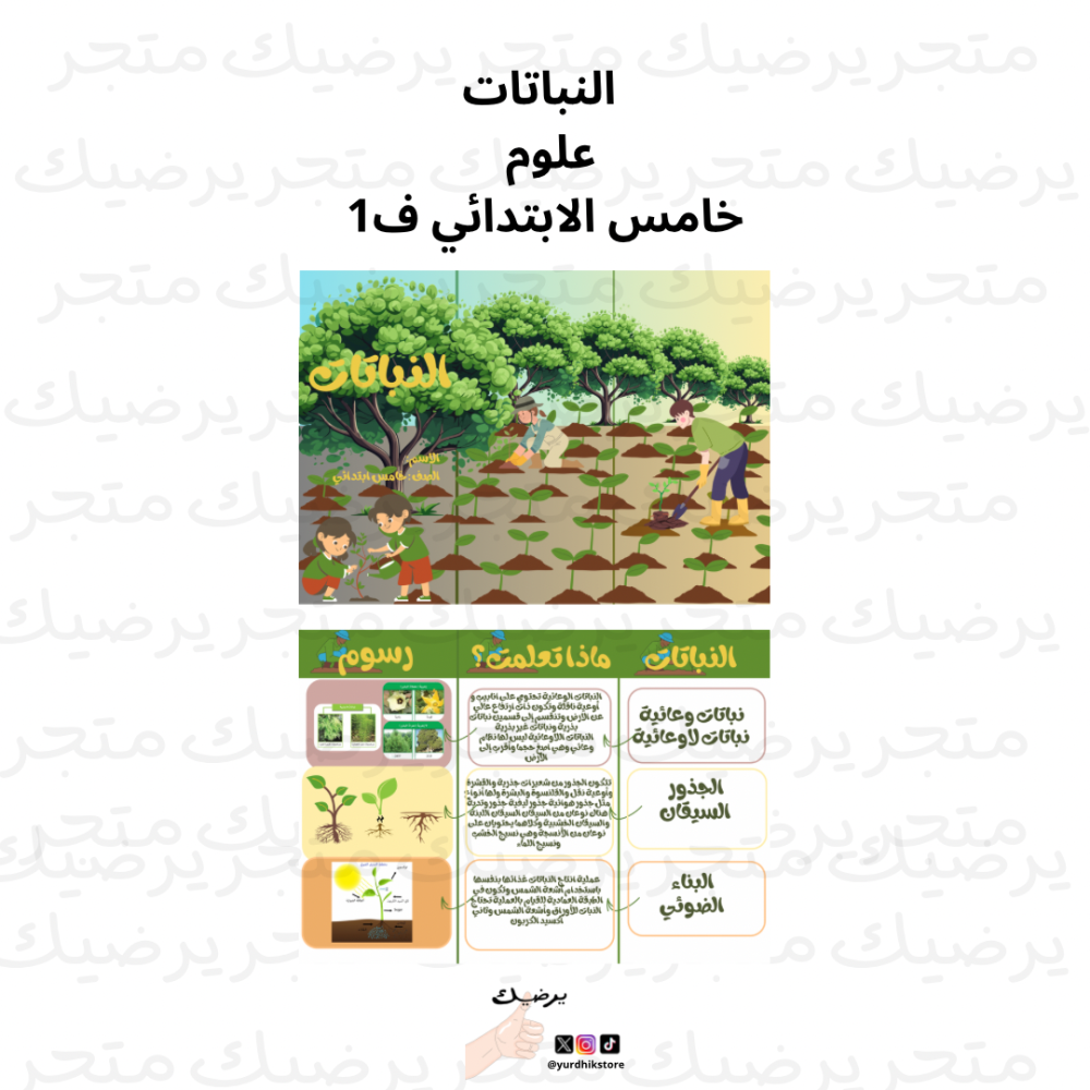 مطوية خامس ابتدائي مادة العلوم  النباتات ف1