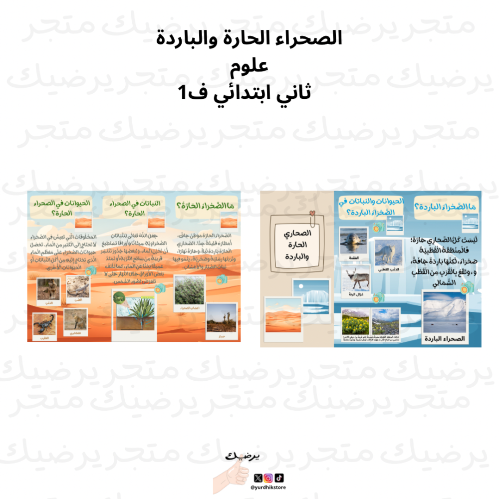 مطوية الصحراء الحارة والباردة علوم ثاني ابتدائي