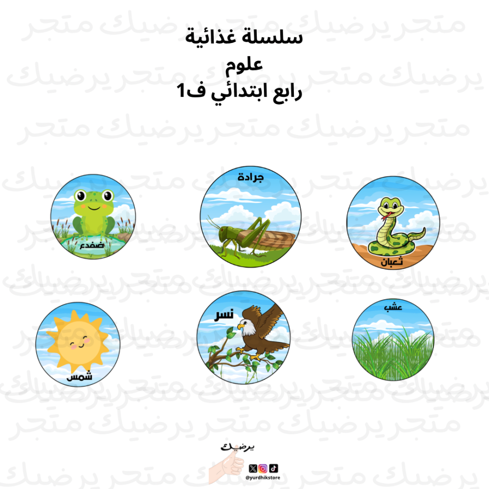 سلسلة غذائيه علوم رابع ابتدائي ف1