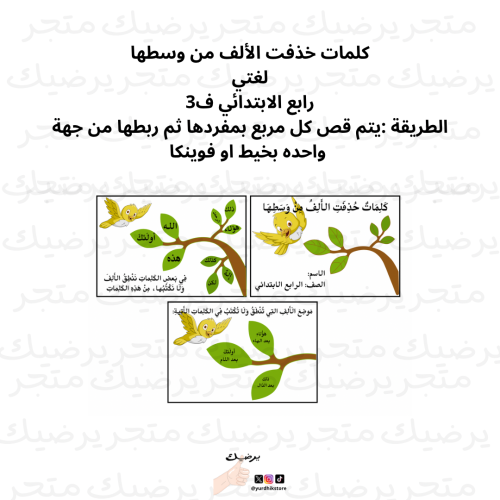 كلمات خذفت الألف من وسطها لغتي رابع الابتدائي ف3
