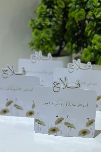 ثيم استقبال بيبي فلاح