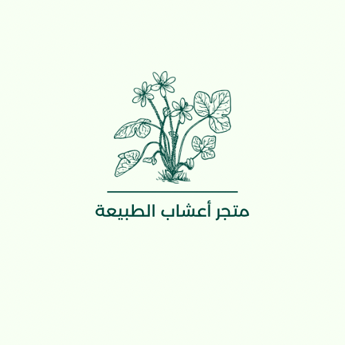 store avatar