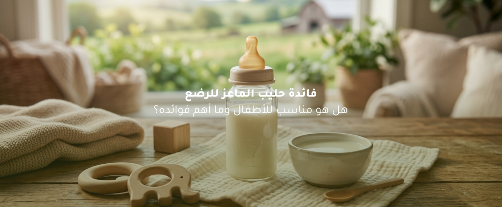 فوائد جبن الماعز للرجال وقيمته الغذائية الصحية