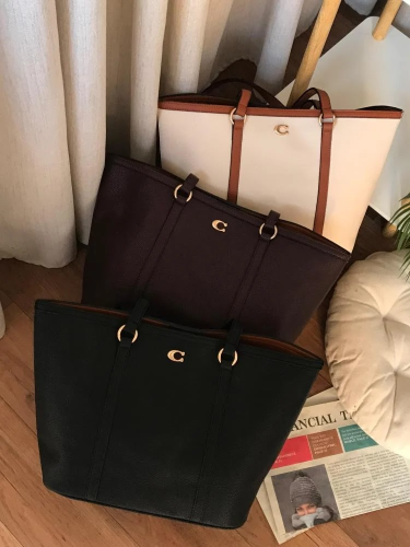 حقيبه نسائيه بسيطه من ماركه COACH
