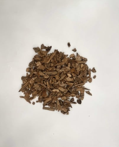 دقة العود الفلبيني