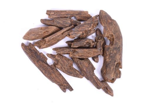 عود الكلمنتان