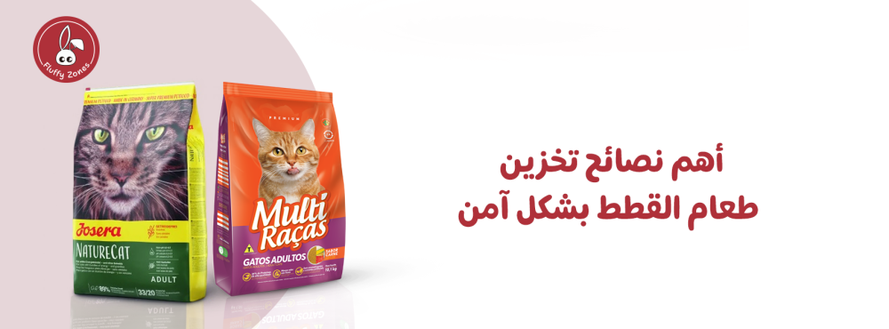 أهم نصائح تخزين طعام القطط بشكل آمن