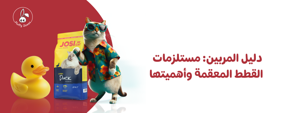 دليل المربين: مستلزمات القطط المعقمة وأهميتها