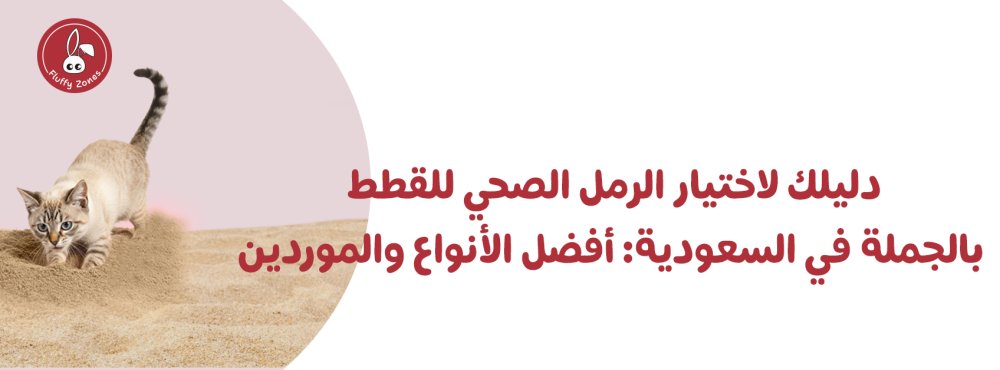 دليلك لاختيار الرمل الصحي للقطط بالجملة في السعودية: أفضل الأنواع والموردين