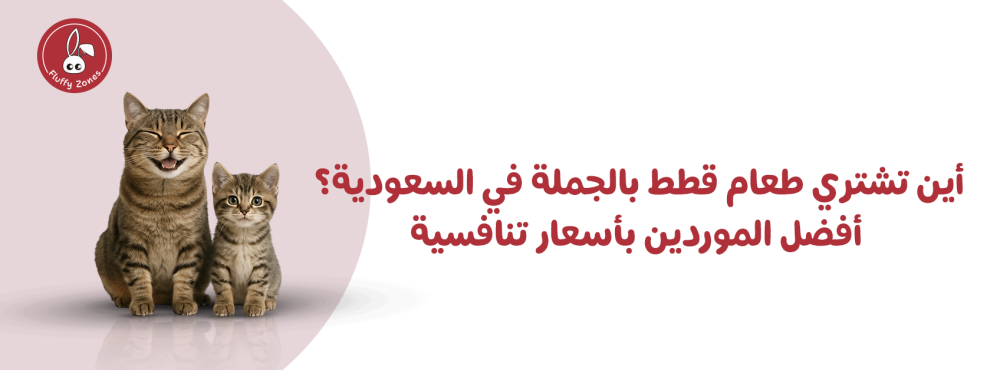 أين تشتري طعام قطط بالجملة في السعودية؟ أفضل الموردين بأسعار تنافسية