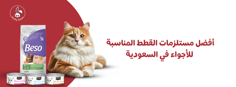 أفضل مستلزمات القطط المناسبة للأجواء في السعودية