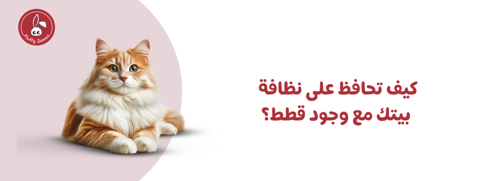 كيف تحافظ على نظافة بيتك مع وجود قطط؟