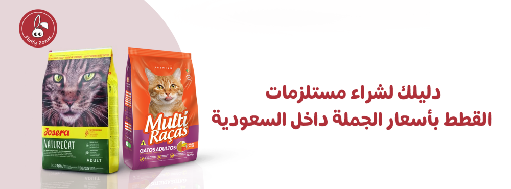 دليلك لشراء مستلزمات القطط بأسعار الجملة داخل السعودية
