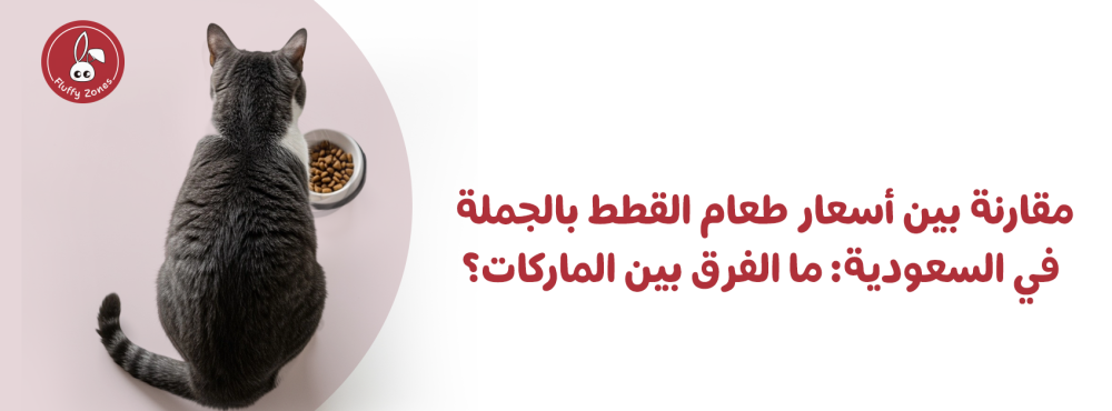 مقارنة بين أسعار طعام القطط بالجملة في السعودية: ما الفرق بين الماركات؟