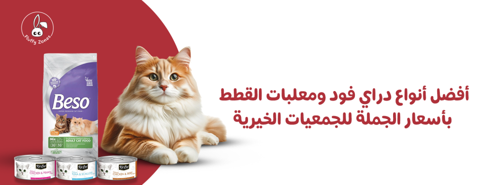 أفضل أنواع دراي فود ومعلبات القطط بأسعار الجملة للجمعيات الخيرية أفضل أنواع دراي فود ومعلبات القطط بأسعار الجملة للجمعيات الخيرية