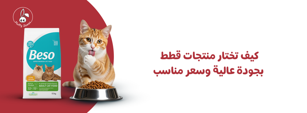 كيف تختار منتجات قطط بجودة عالية وسعر مناسب