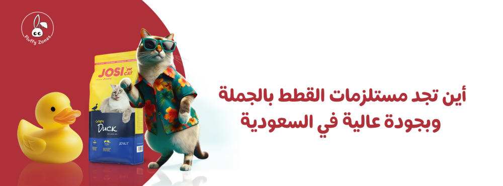 أين تجد مستلزمات القطط بالجملة وبجودة عالية في السعودية